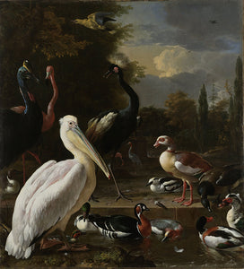Schilderij Een pelikaan en ander gevogelte bij een waterbassin, bekend als Het drijvend veertje