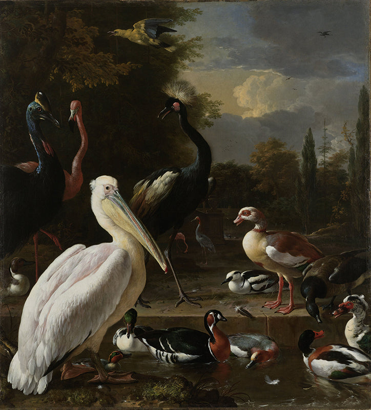 Schilderij Een pelikaan en ander gevogelte bij een waterbassin, bekend als Het drijvend veertje