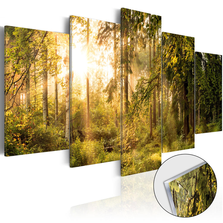 Plexiglas schilderij - Magic of Forest