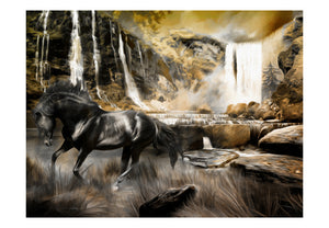 Fotobehang - Zwart paard en rotsachtige waterval