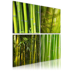 Foto schilderij - Bamboes