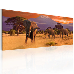 Foto schilderij - March of african elephants