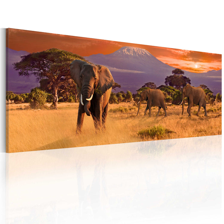 Foto schilderij - March of african elephants