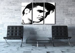 Popart schilderij Elvis Presley 1