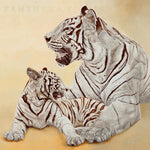 Aluminium schilderij Tigres blancs, mère et fille