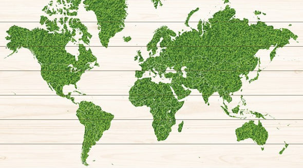 Wereldkaart op hout - Groen natuur