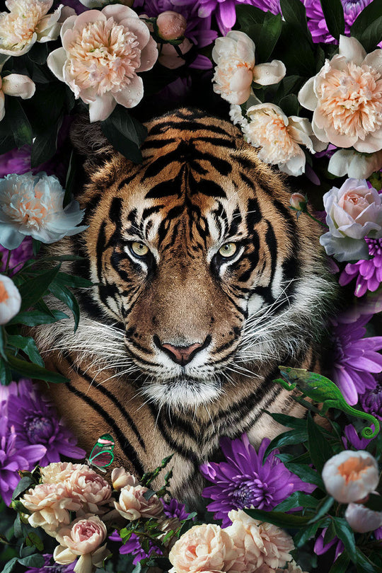 Schilderij 80x120 Tijger met bloemen (Glas)