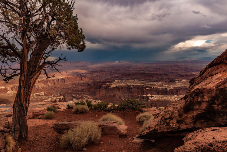 Schilderij met 3D reliëf 120x80 Canyon (Glas)