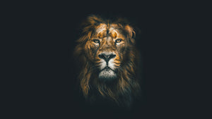 King of animals