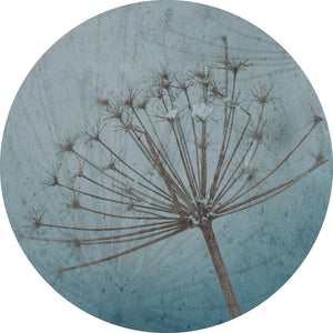 Hogweed
