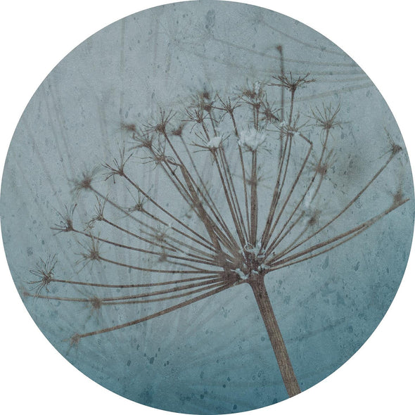 Hogweed
