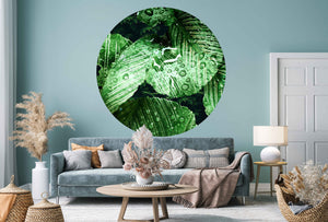Jungle leaf