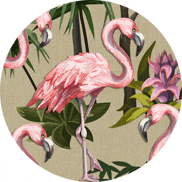 Flamingos