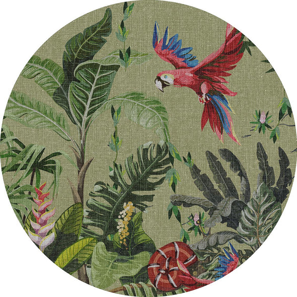 Parrots