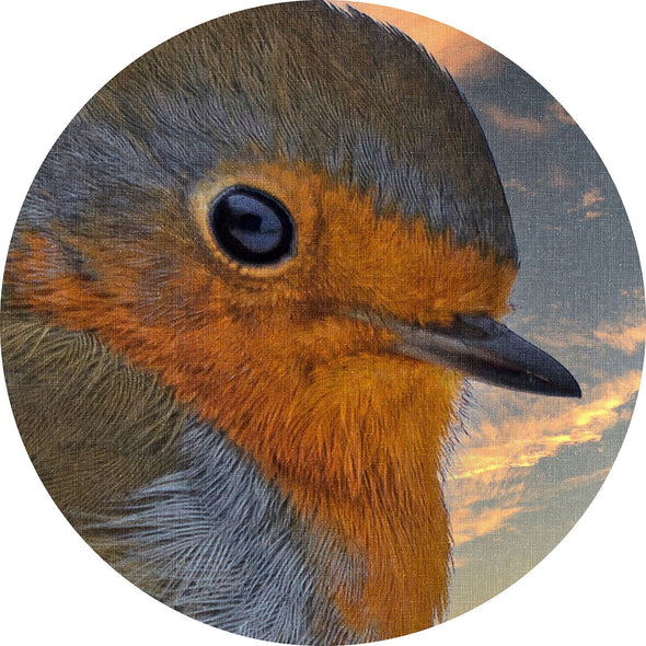 Robin