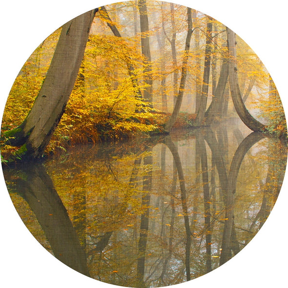 Autumn forest