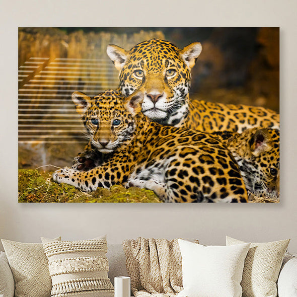 Schilderij Luipaard liggend (Dibond /  Plexiglas)