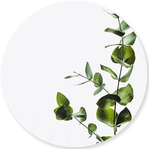 Leaves