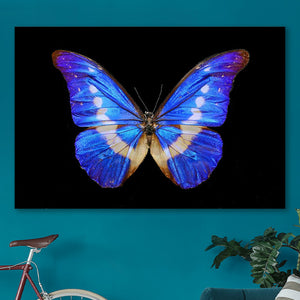 Blauwe vlinder