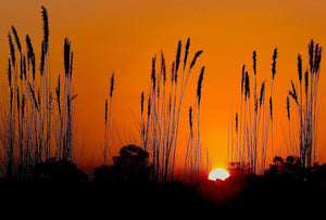 Zonsopkomst