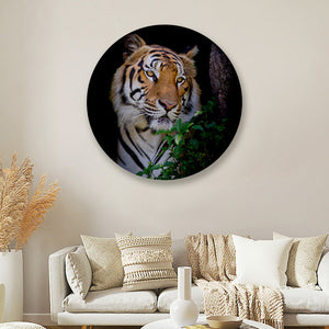 Tijger cirkel