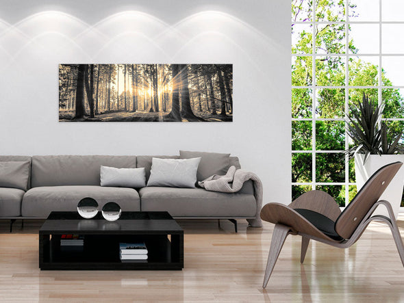 Schilderij - Forest Sun (Canvas)