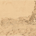 Korenveld met cipressen