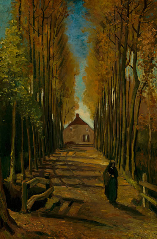 Populierenlaan in de herfst