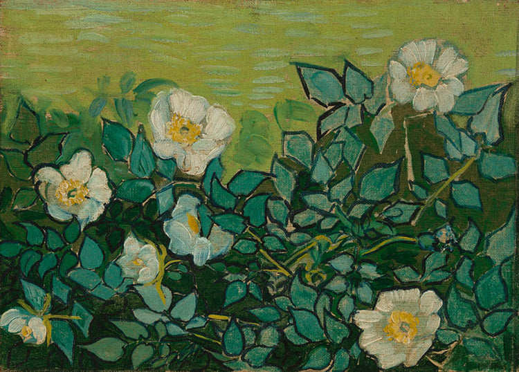 Wilde rozen