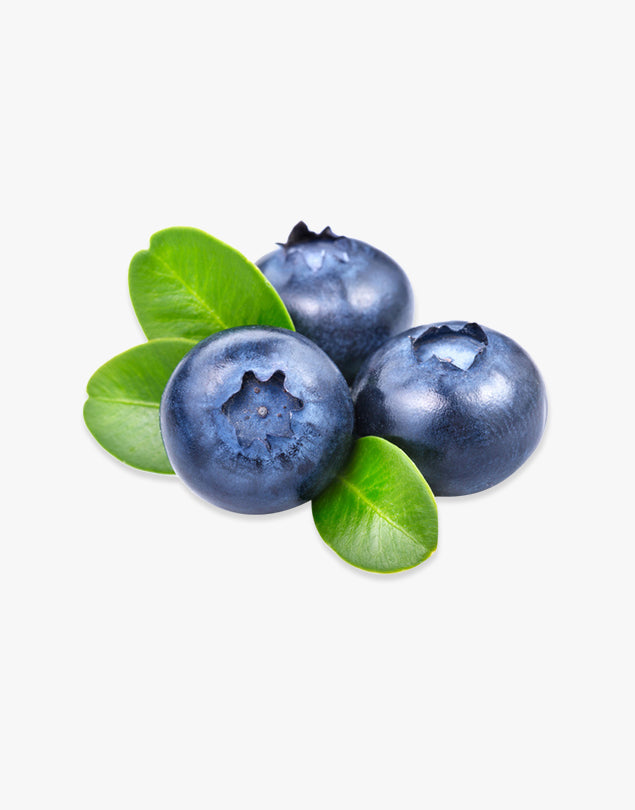 Fresh blueberry
