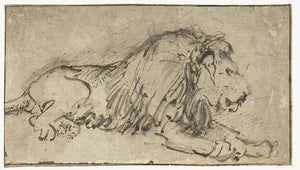 Schilderij Liggende leeuw