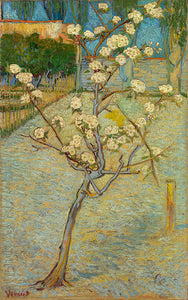 Schilderij Perenboompje in bloei