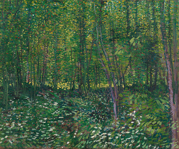 Schilderij Bos met kreupelhout