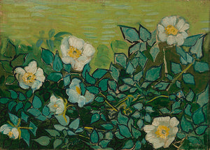 Schilderij Wilde rozen