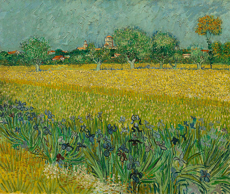 Schilderij Veld met irissen bij Arles