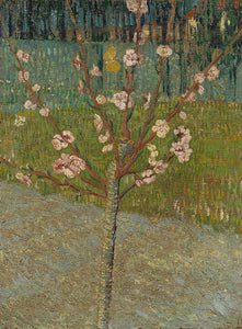Schilderij Amandelboom in bloei