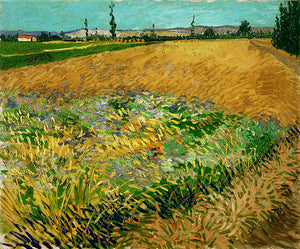 Vincent van Gogh schilderij - Korenveld