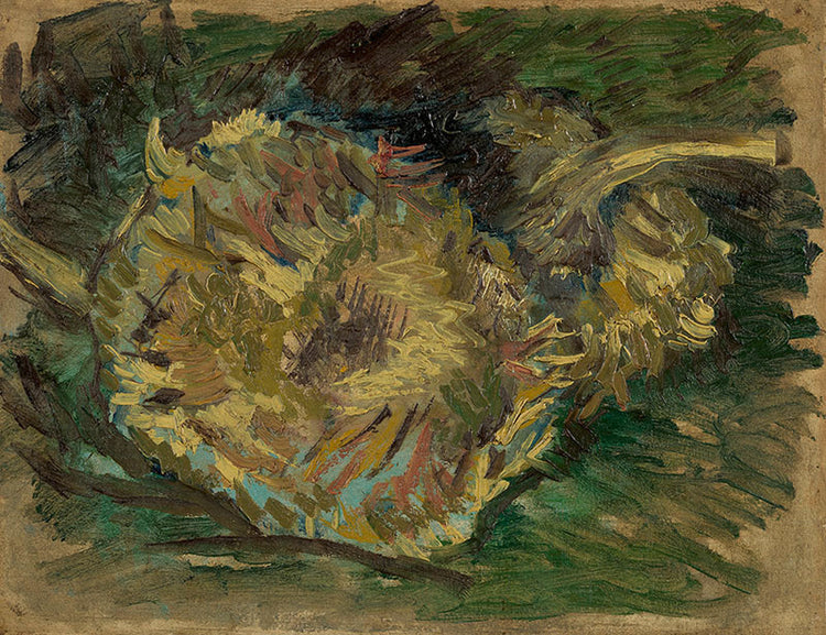 Schilderij Uitgebloeide zonnebloemen