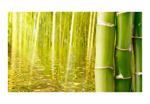 Fotobehang - Exotische sfeer met bamboe