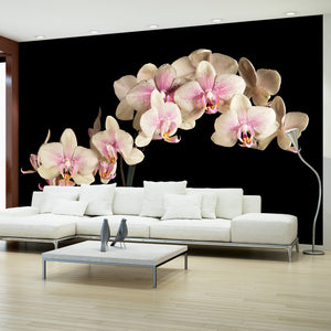 Fotobehang - Blooming orchidee