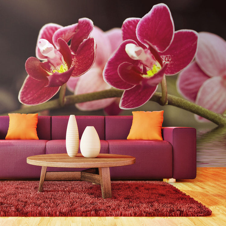 Fotobehang - Mooie orchidee bloemen op het water