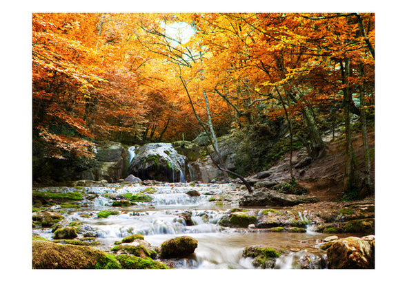 Fotobehang - herfst - waterval