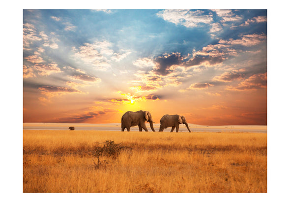 Fotobehang - Afrikaanse savanne olifanten