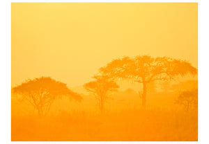 Fotobehang - Orange savanna