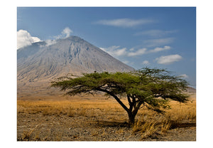 Fotobehang - Ol Doinyo Lengai vulkaan - Tanzania, Afrika