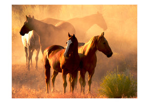 Fotobehang - Wilde paarden van de steppe