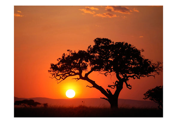 Fotobehang - Afrika: zonsondergang