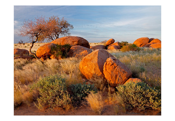 Fotobehang - Afrikaanse landschap, Namibië
