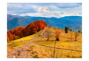 Fotobehang - Herfst landschap in de Karpaten