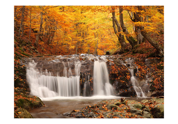 Fotobehang - Autumn landscape : waterfall in forest